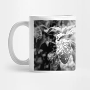 Frosted Nature Mug